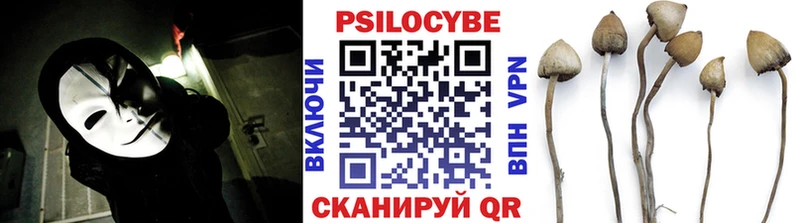 даркнет сайт Ельня Псилоцибиновые грибы мухоморы